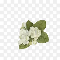 �����ֻ�-������