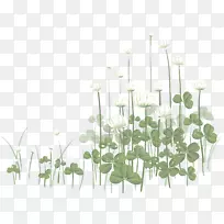 �廨����-��Ҷ��-������