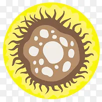 癌症病毒细胞-空若网 癌症病毒细胞-空若网