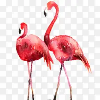 水彩火烈鸟-空若网 水彩火烈鸟-空若网