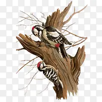 ����-������