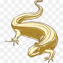 矢量蜥蜴-空若网 矢量蜥蜴-空若网