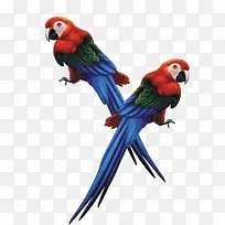 ����-������