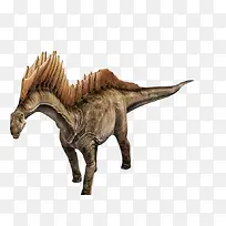 恐龙-空若网 恐龙-空若网