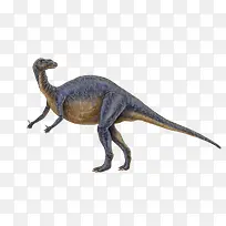 远古动物-空若网 远古动物-空若网