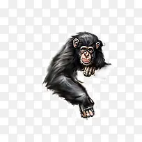 ��ͨ�ֻ�����ֵ�����-������