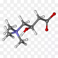 ��ʳ������������֬��֬����ˣ-������