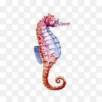 彩色海马-空若网 彩色海马-空若网