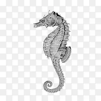 ��ͨ�ֻ溣��-������