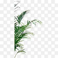 节能环保创意绿植-空若网 节能环保创意绿植-空若网