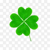 ËÄÒ¶²Ý-¿ÕÈôÍø ËÄÒ¶²Ý-¿ÕÈôÍø