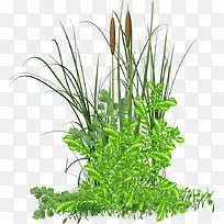 ��β�Ͳ�-������