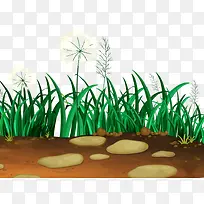 土地小草-空若网 土地小草-空若网