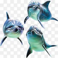 高清摄影手绘海豚效果-空若网 高清摄影手绘海豚效果-空若网