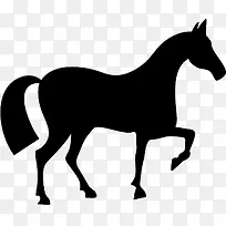 黑色马匹创意手绘-空若网 黑色马匹创意手绘-空若网