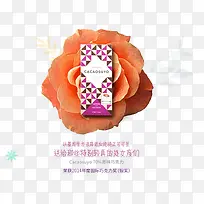 当做礼物的橙色玫瑰-空若网 当做礼物的橙色玫瑰-空若网