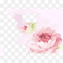 手绘花-空若网 手绘花-空若网