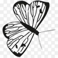 黑色可爱炫酷蝴蝶-空若网 黑色可爱炫酷蝴蝶-空若网