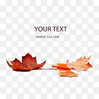 创意装饰-空若网 创意装饰-空若网