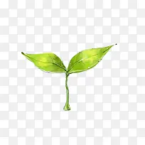 手绘树苗-空若网 手绘树苗-空若网