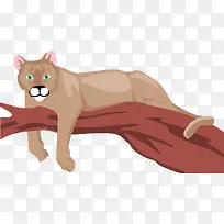 树枝上的豹子-空若网 树枝上的豹子-空若网