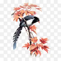 鸟站在树枝上的鸟-空若网 鸟站在树枝上的鸟-空若网