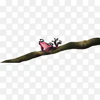 青蛙树枝上的青蛙卡通青蛙-空若网 青蛙树枝上的青蛙卡通青蛙-空若网