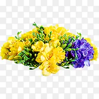 彩色艺术花朵高清-空若网 彩色艺术花朵高清-空若网