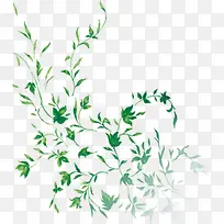 高清摄影绿色植物辞职-空若网 高清摄影绿色植物辞职-空若网