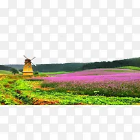 ޹�²�ׯ԰-������