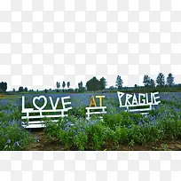 东方普罗旺斯薰衣草庄园景区-空若网 东方普罗旺斯薰衣草庄园景区-空若网