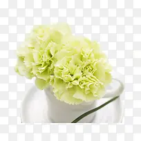 绿色惬意生活花朵杯子-空若网 绿色惬意生活花朵杯子-空若网