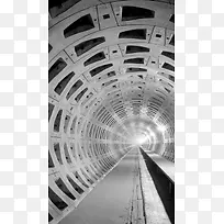 ���������ڰ׷�������Ӱ-������