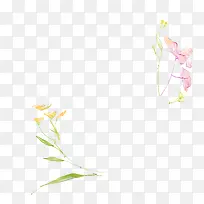 手绘水彩彩色花语-空若网 手绘水彩彩色花语-空若网