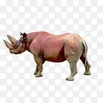 Ϭţʳ��-������