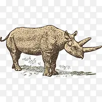 犀牛-空若网 犀牛-空若网