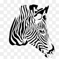 �ֻ����-������