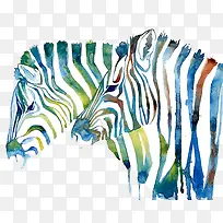 手绘水彩斑马-空若网 手绘水彩斑马-空若网