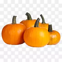 ÄϹÏÅÉÇï¼¾Ê߲˽ܿË-Å·-µÆÁý-ÄϹÏ-¿ÕÈôÍø ÄϹÏÅÉÇï¼¾Ê߲˽ܿË-Å·-µÆÁý-ÄϹÏ-¿ÕÈôÍø