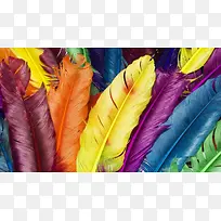 ��ɫ��ë��ͨ���-������