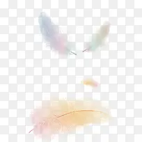 唯美彩色羽毛装饰-空若网 唯美彩色羽毛装饰-空若网