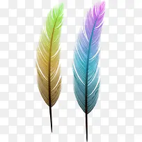 彩色蓬松羽毛-空若网 彩色蓬松羽毛-空若网