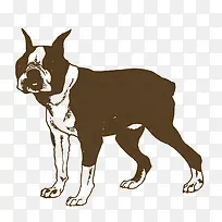 动物剪影-空若网 动物剪影-空若网