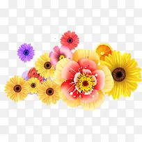 手绘艳色花卉插画-空若网 手绘艳色花卉插画-空若网