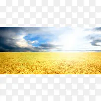 金色摄影背景-空若网 金色摄影背景-空若网