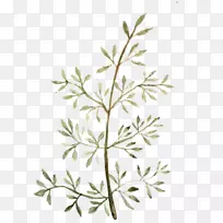 Ë®²Ê»Æ½ÃæÉè¼ÆÒ¶»Ë®²Ê»Ò¶-¿ÕÈôÍø Ë®²Ê»Æ½ÃæÉè¼ÆÒ¶»Ë®²Ê»Ò¶-¿ÕÈôÍø