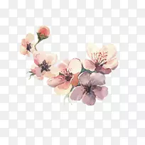 Ë®²Ê»-¿ÕÈôÍø Ë®²Ê»-¿ÕÈôÍø