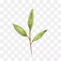 Ë®²Ê»Æ½ÃæÉè¼Æ-Ë®²Ê»Ò¶-¿ÕÈôÍø Ë®²Ê»Æ½ÃæÉè¼Æ-Ë®²Ê»Ò¶-¿ÕÈôÍø