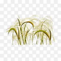 ��ͨ�ֻ浾��-������