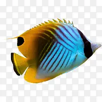 ��ʺ���png����ز�-������